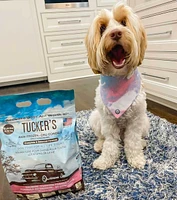 Tucker's - Frozen Dog Food - Salmon & Pumpkin