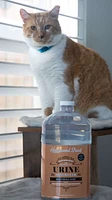 New York Made - Stain & Odor Remover Urine Destroyer - Honeysuckle-1 Gallon
