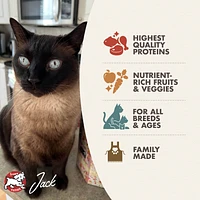 - Dry Cat Food - Surf & Turf Recipe
