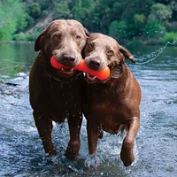 Ruff Dawg - Durable Retrieving Dog Toy - Tough Rubber for Chewers & Fetch Play - Dawg Buster