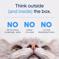 Boxiecat - Extra Strength Clumping Clay Cat Litter - Natural Probiotic Odor Control & Dust Free - Unscented