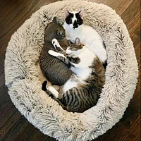 Shag Dog Bed