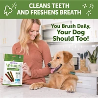 WHIMZEES - Dog Dental Treat - Stix Natural Grain Free Dental Chews