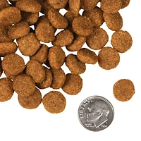 Fromm - Dry Dog Food - Pork & Applesauce Recipe
