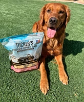 Tucker's - Freeze Dried Dog Food - Salmon & Pumpkin