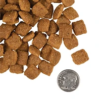 Fromm - Adult Dry Dog Food - Supports Digestion,  Lean Muscle & Complete Nutrition - 5 lbs Bag