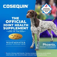Cosequin - Soft Chews for Dogs - Joint Support Supplement with Glucosamine for Mobility & Comfort