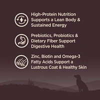 Wellness - Dry Dog Food – High Protein,  Grain Free Natural Diet – Original Turkey & Chicken Recipe