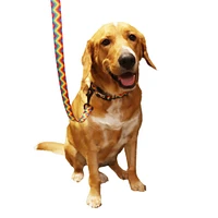 - Dog Leash - Rainbow