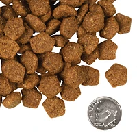 Fromm - Dry Dog Food - Duck À La Veg® Recipe