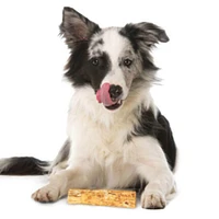 Nothin To Hide  - Rawhide Alternative Dog Chew - Digestible & Long Lasting Treat - Peanut Butter Roll - 2 Pack
