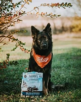 Tucker's - Frozen Dog Food - Bison & Pork