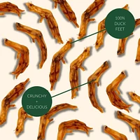 Purposeful Pup - Duck Feet - Single Ingredient & High Protein Dog Treat