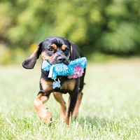- Plush Dog Toy - Cuddly with Squeaker for Snuggle & Gentle Play - Cozie™ Ali Alligator