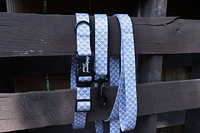 Ohio Made - Dog Collar