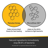 Silver Honey - Antibacterial Rapid Skin Relief Medicated Shampoo – Soothing for Dogs & Pets