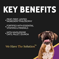 Dry Dog Food – Limited Ingredient Wholesome Grains