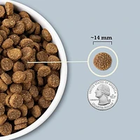 ACANA - Dry Dog Food - Protein Rich with Limited Ingredients - Sea to Stream Fish & Grains Recipe