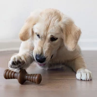 Benebone - Dog Chew Toy - Zaggler - Bacon