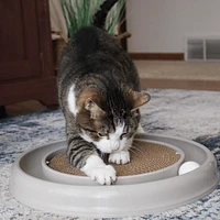 Coastal - Cat Toy - Turbo Scratcher Eco