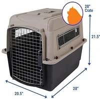 Kennel