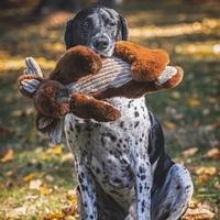 HuggleHounds - Dog Toy - Rope X-Brace - Maple Moose