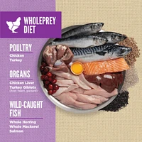 Orijen - Amazing Grains Dry Dog Food - High Protein WholePrey Diet - Puppy Large