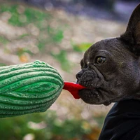 HuggleHounds - Plush Dog Toy - Lucky Snake Knottie
