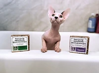 Project Sudz - Pet Training - Bitter Biters Spray