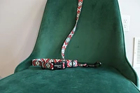 - Nylon Dog Leash - Southwest Red