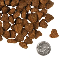 Fromm - Dry Dog Food - Rancherosa®