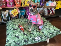 Rectangle Dog Bed - Tropical
