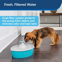 PetSafe - Butterfly Pet Fountain