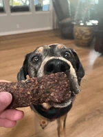 Dog Treat