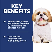 Mature Adult 7+ Dry Dog Food Small Bites for Healthy Aging & Lean Muscle – Chicken Recipe