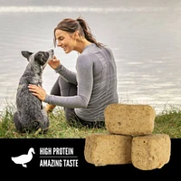 Orijen - Freeze Dried Dog Treat - High Protein Training Reward - Free Run Duck Recipe