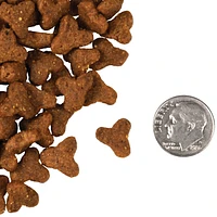 Fromm - Dry Cat Food - Game Bird Recipe
