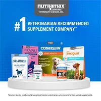 Cosequin - Soft Chews for Dogs - Joint Support Supplement with Glucosamine for Mobility & Comfort