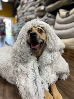 - Pet Blanket - Calming Grey Shag Blanket