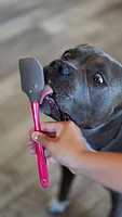 Messy Mutts - Licking Mat with Spatula