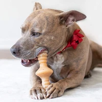 Dog Chew Toy - Zaggler