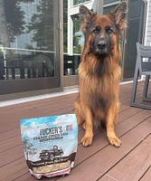 Tucker's - Freeze Dried Dog Food - Pork,  Beef,  & Pumpkin