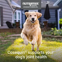 Cosequin - Soft Chews for Dogs - Joint Support Supplement with Glucosamine for Mobility & Comfort