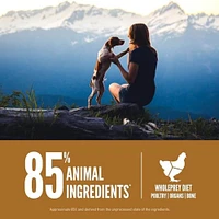 Orijen - High Protein Dry Dog Food - Supports Growth & Brain Development - Puppy - 4.5 lbs Bag