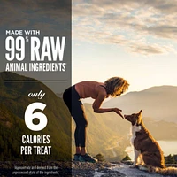 Orijen - Freeze Dried Dog Treat - High Protein Training Reward - Regional Red Recipe
