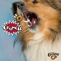Fromm - Crunchy Os® Dog Treats - Low Calorie Crunchy Snack for Training & Fun - Pot Roast Punchers™ Flavor