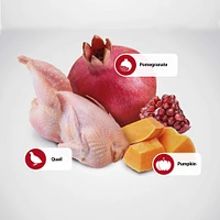- Dry Cat Food - Quail & Pomegranate Adult