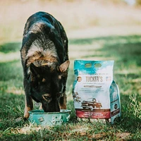 Frozen Dog Food
