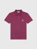 Polo Calvin Klein Hombre Morado