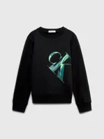 Sudadera Calvin Klein Estampado Niño Negro